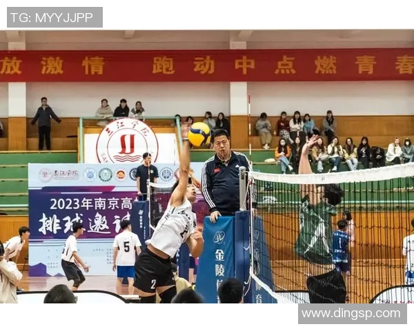 南京排球队意识排名第六引发关注展现团队实力与战术素养