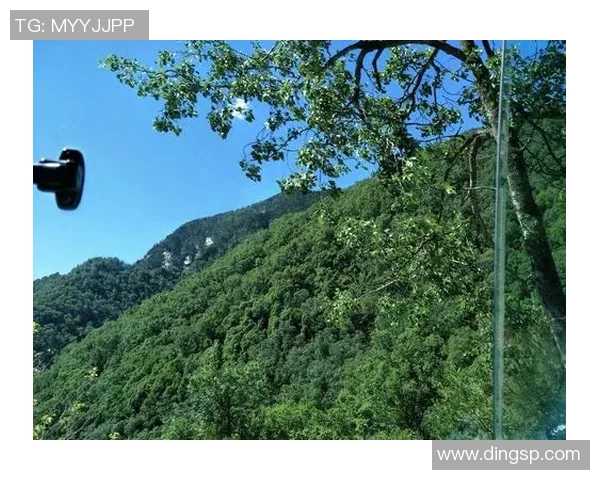 南京羽毛球队在大师赛中的奋斗与突破之路全景回顾 南京羽毛球队在大师赛中的奋斗与突破之路全景回顾