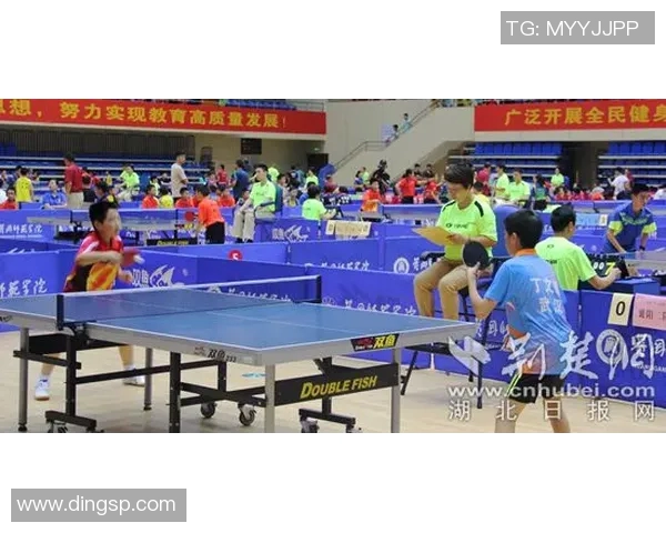 杭州乒乓球队战术解析:灵活转换体系助力竞技水平提升