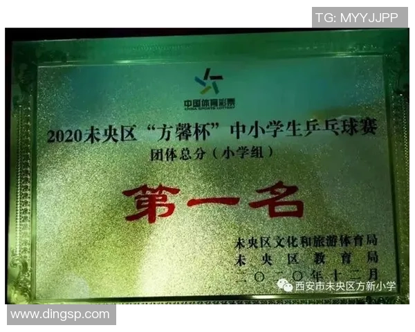 西安乒乓球队个人能力分析与表现评估研究报告